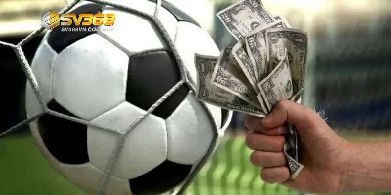 Mẹo cá độ bóng đá hiệu quả cho bet thủ mới