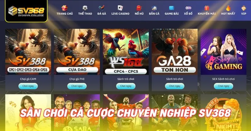 Sân chơi cá cược chuyên nghiệp SV368